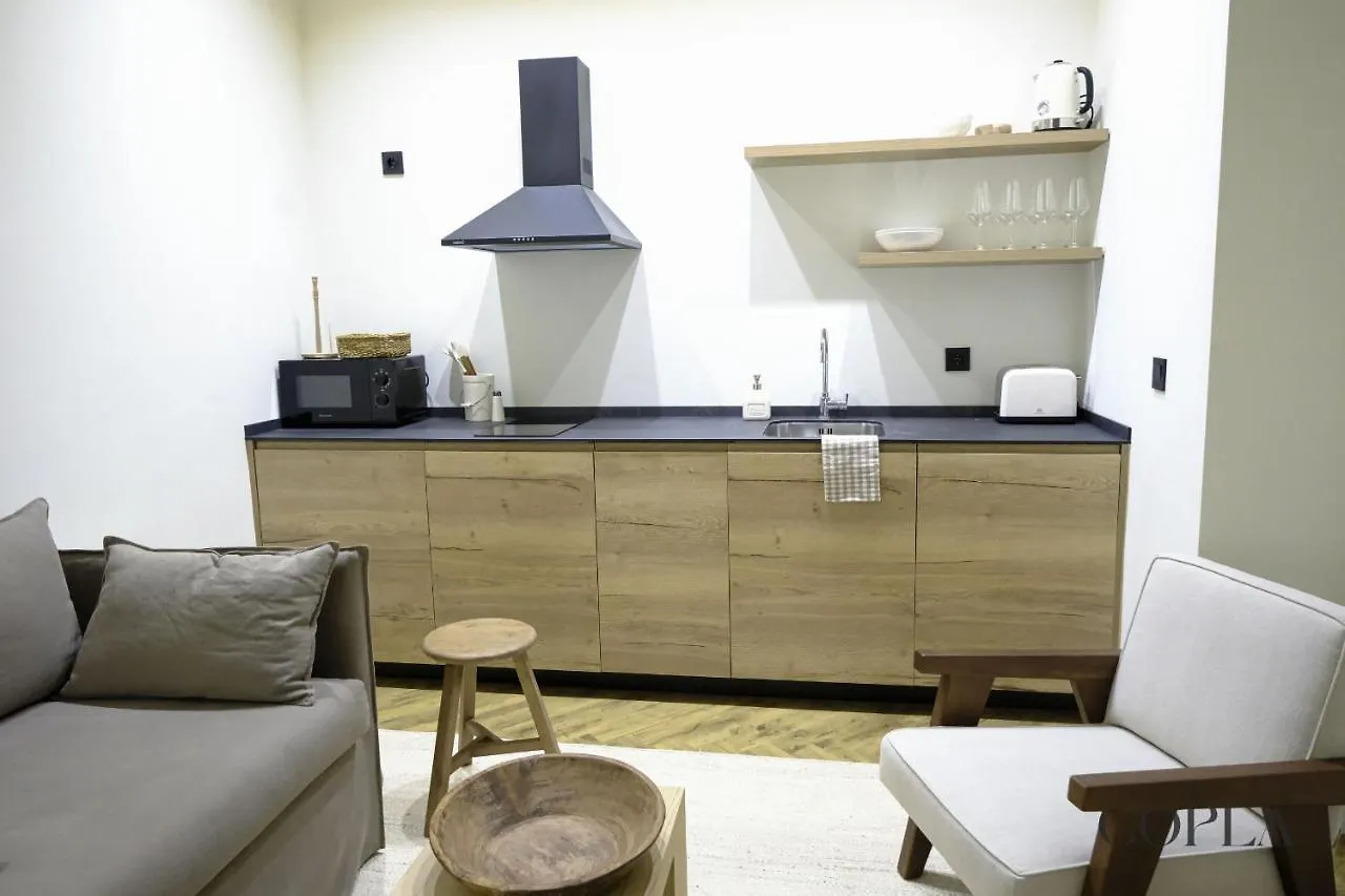 Premium Apartment With Rooftop In Centro Sevilla Spain