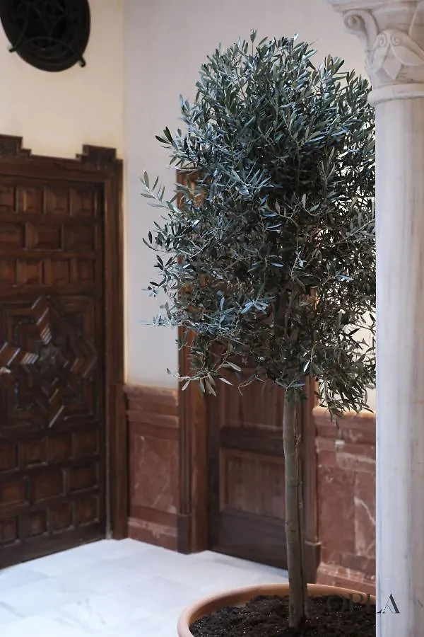 Premium Apartment With Rooftop In Centro Sevilla Spain